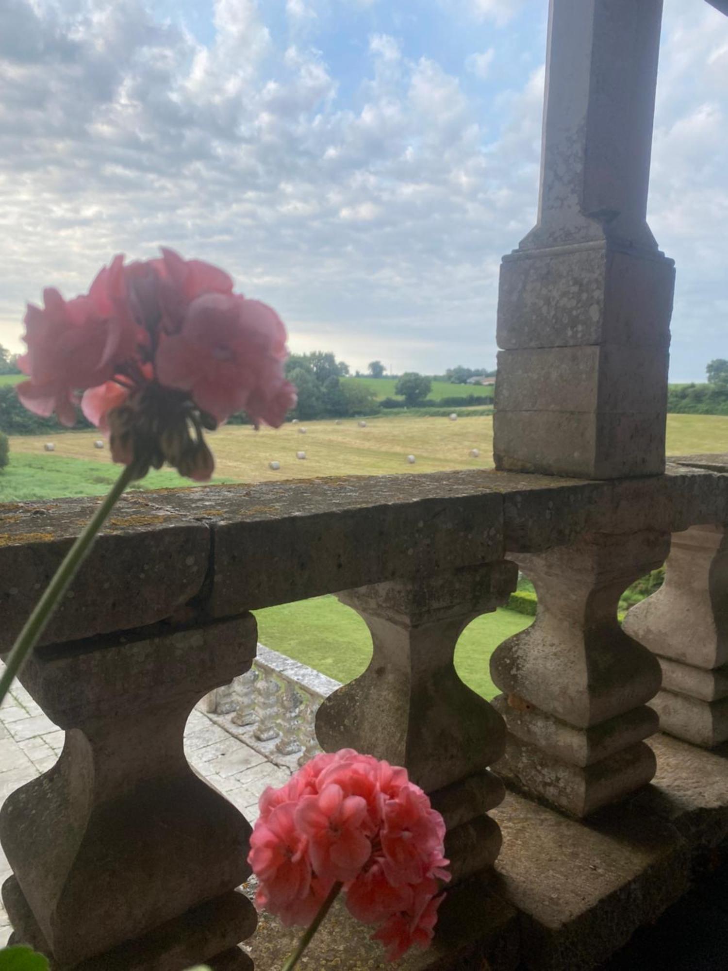 Chateau De Cibioux Surin  Ngoại thất bức ảnh